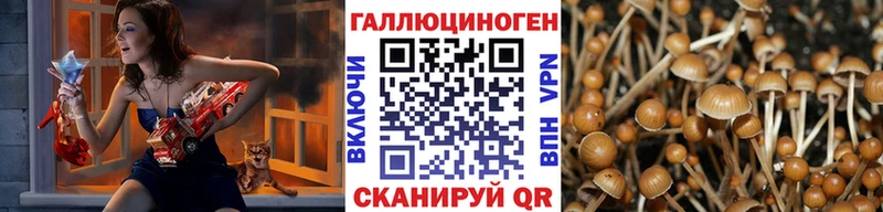 цена Киренск mega ссылка Галлюциногенные грибы Psilocybe
